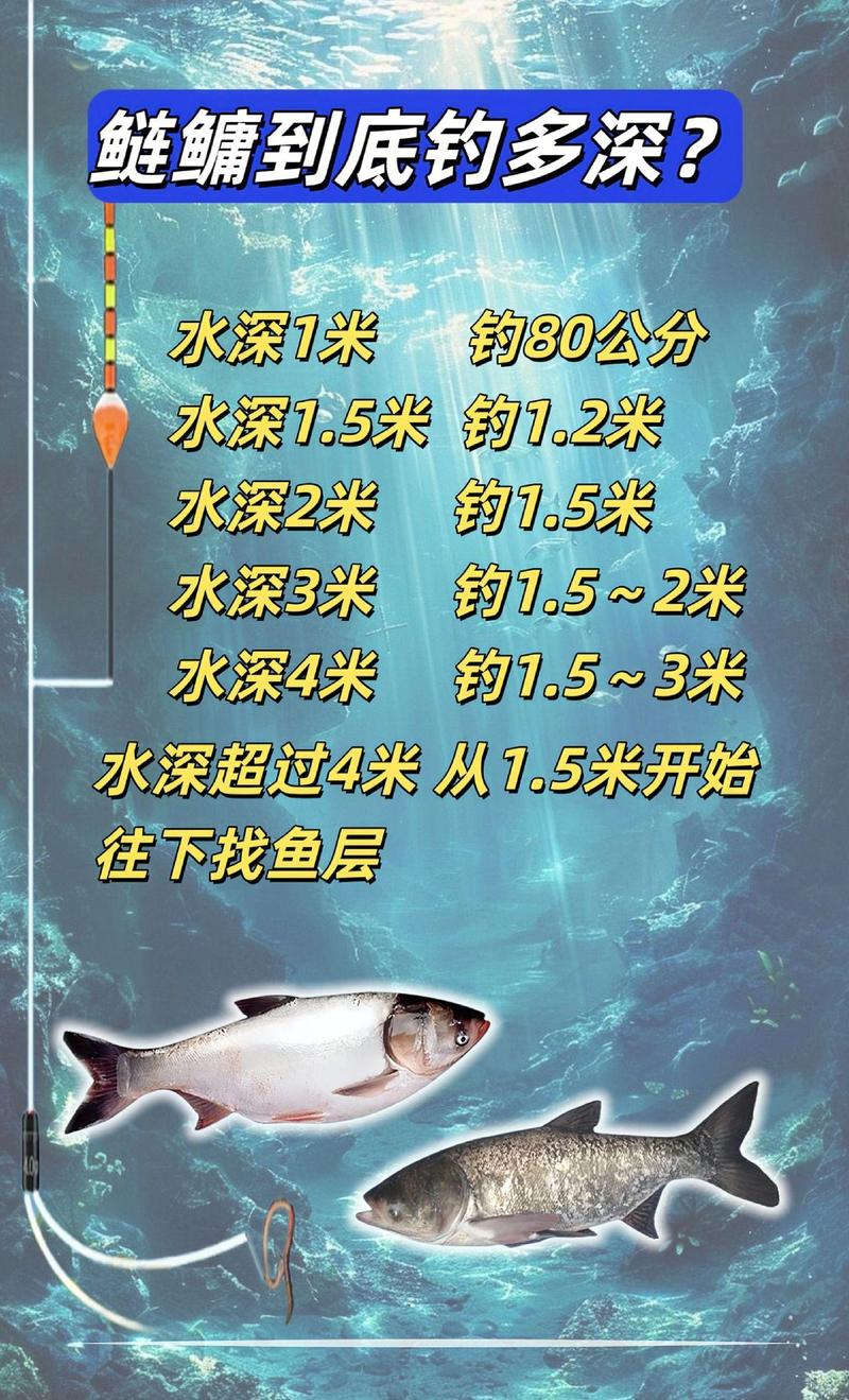 釣鰱鳙最佳時間選擇_釣鰱鳙技巧_手竿釣鰱鳙技巧