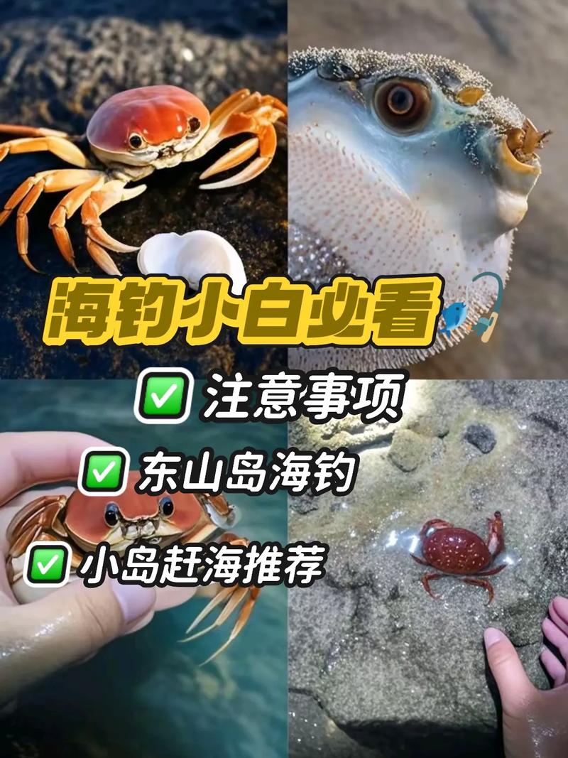 短竿搏大魚攻略_近岸海釣三大技巧匯總必看_近岸釣位技巧