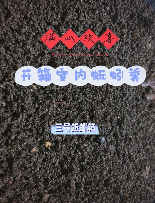 室內蚯蚓養殖技術_蚯蚓養殖方法與技巧_如何養蚯蚓視頻教程