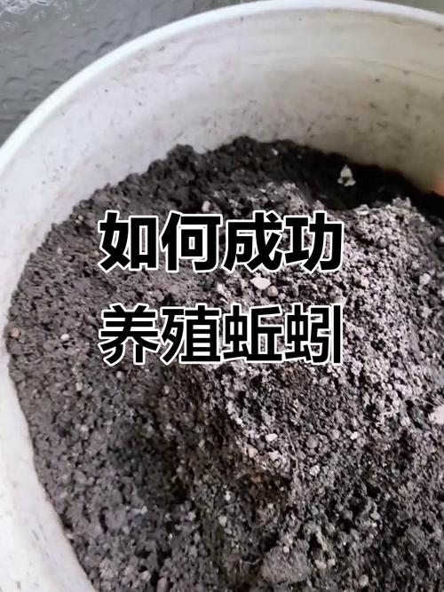 如何在家飼養蚯蚓_室內蚯蚓養殖技術_蚯蚓養殖技術教程