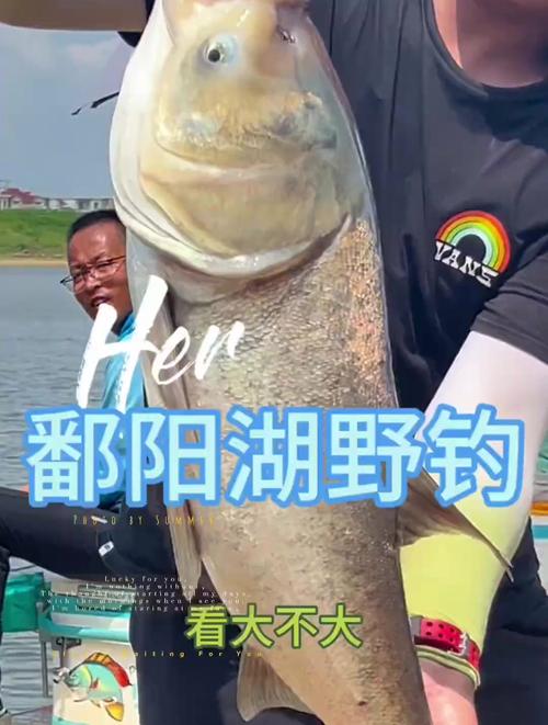 鄱陽湖垂釣規則_鄱陽湖夏季釣魚技巧_鄱陽湖_鄱陽湖釣魚攻略_鄱陽湖可以釣魚嗎