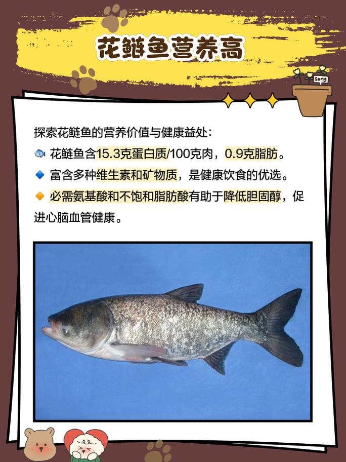 花鰱魚_花鰱魚頭部寬大_花鰱魚產地分布