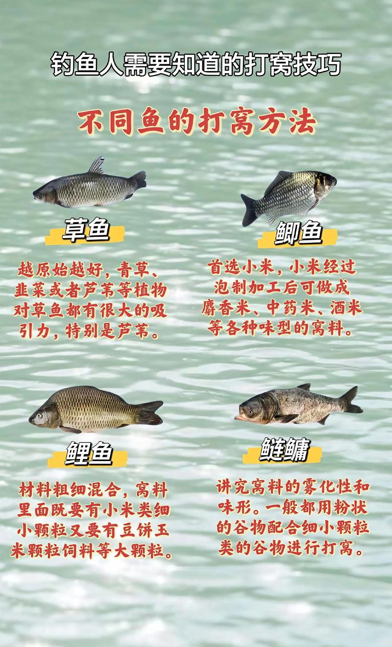 釣鰱魚的正確方法_鰱魚釣點選擇技巧_釣鰱鳙怎么調漂