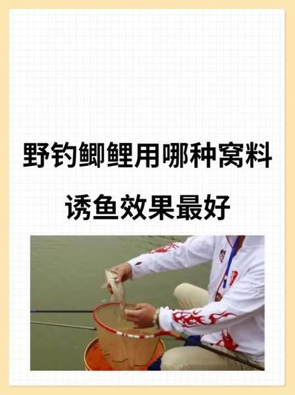 夏季野釣窩料選擇_普通窩料與最佳窩料對比_野釣鯉鯽魚窩料配方