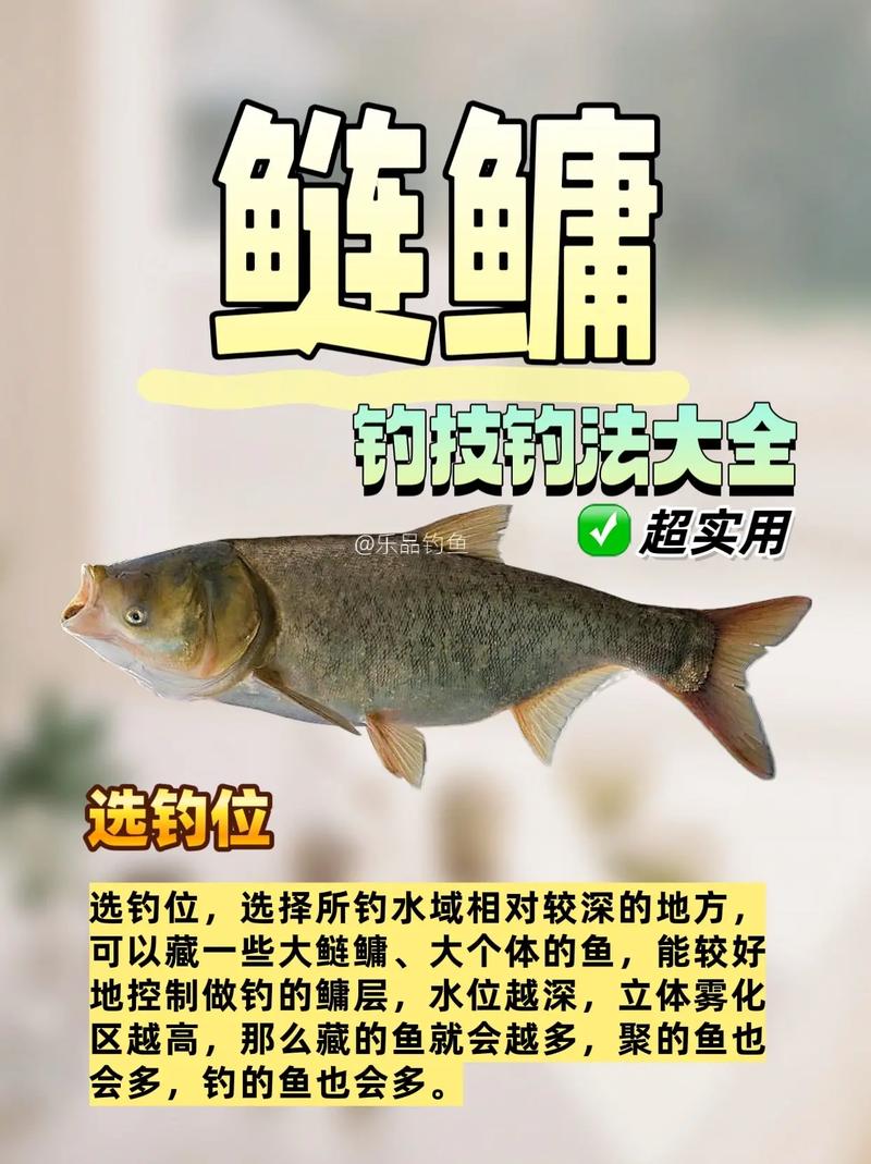 手竿釣鰱鳙線組圖解_手竿釣鰱鳙餌料選擇_手竿釣鰱鳙技巧