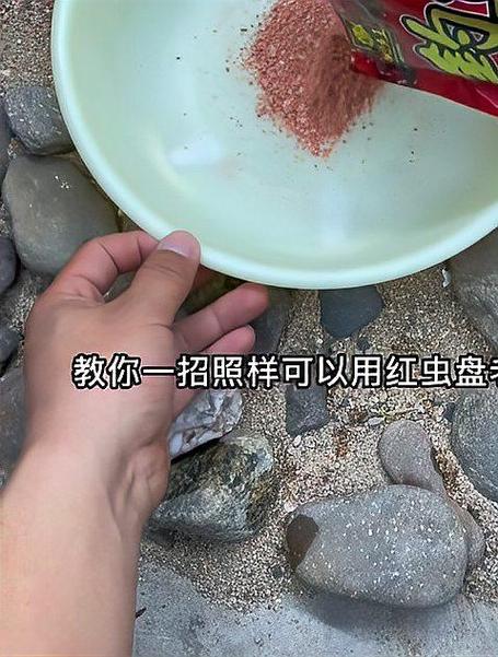 紅蟲釣魚黑坑禁用原因_黑坑為什么不讓用紅蟲_紅蟲對水質的影響
