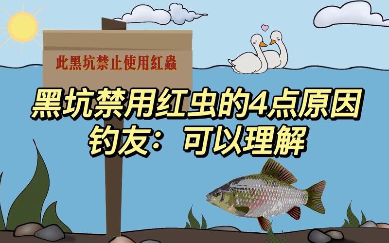 黑坑為什么不讓用紅蟲_紅蟲在黑坑的禁忌_黑坑為什么不讓用紅蟲