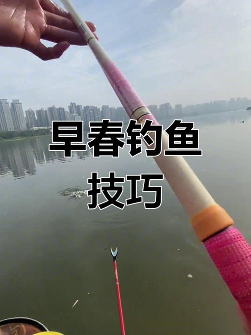 釣鯪魚技巧_鯪魚窩料選擇_釣鯪魚視頻