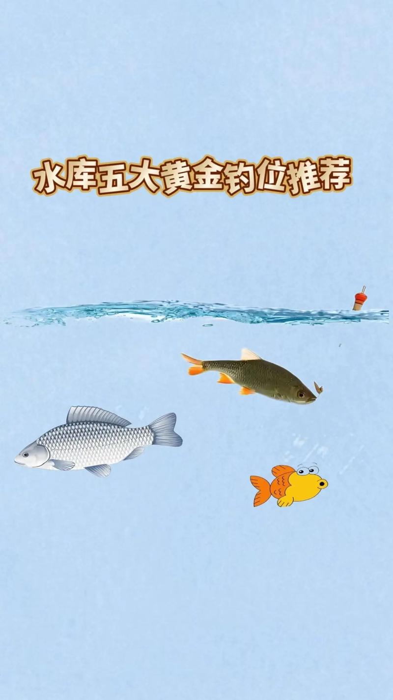 七招教您在水庫釣魚選擇釣點的技巧必看_夏季釣鯉魚釣位選擇_夏季水庫釣鯉魚技巧
