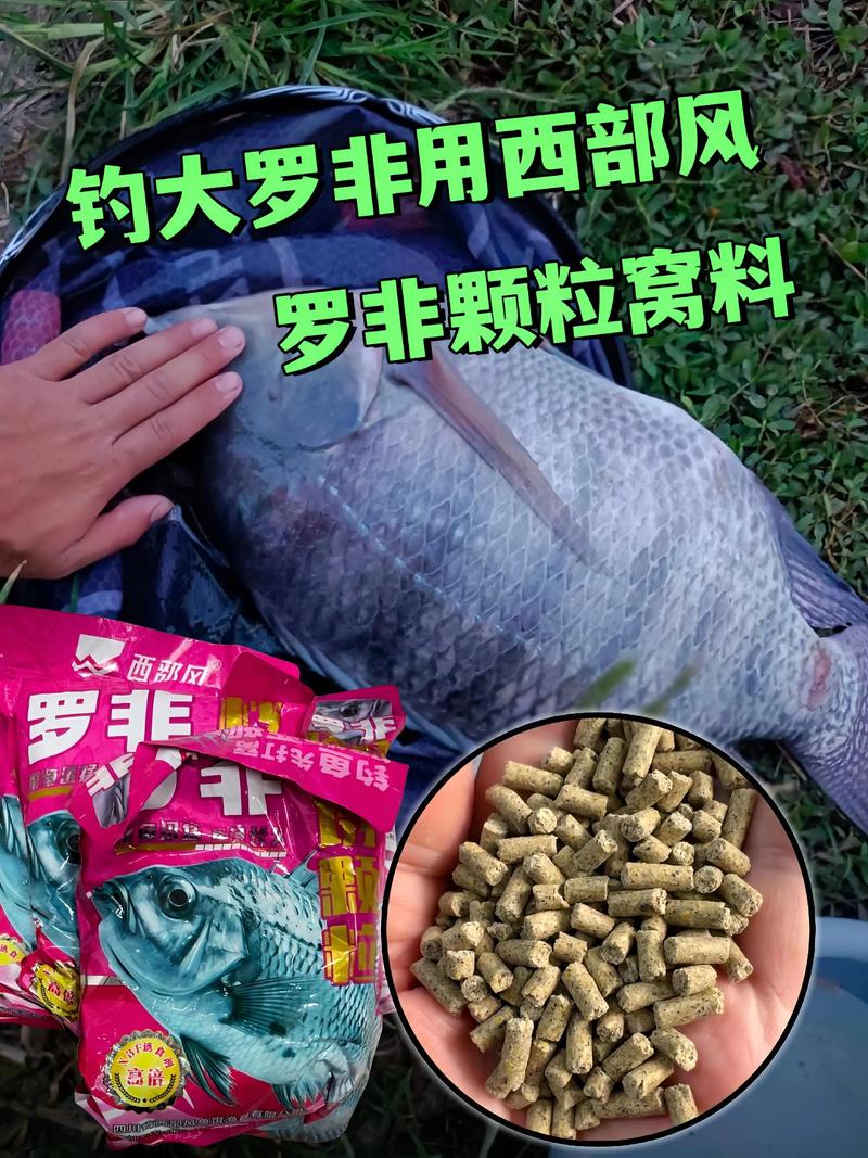 羅非魚釣點選擇_釣羅非魚視頻_釣大羅非魚技巧