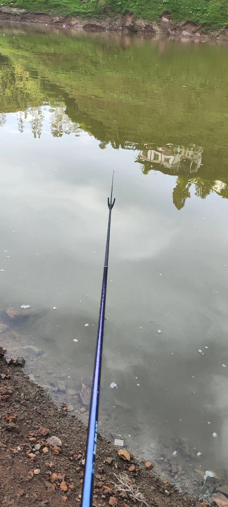 羅非魚釣點選擇_釣大羅非魚技巧_釣羅非魚視頻