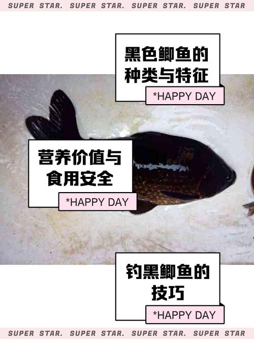 黑魚與鯽魚區別_黑魚鯽魚營養價值對比_黑魚的刺多嗎