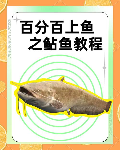 海鯰魚最佳釣點選擇_釣海鯰魚餌料選擇_釣鯰魚的最佳時間
