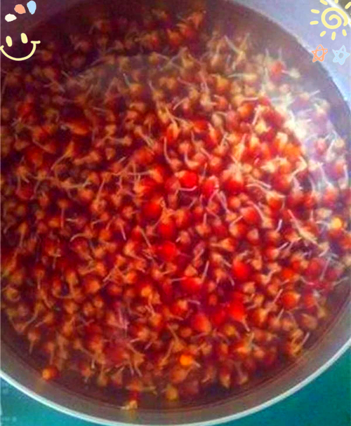 酒米制作方法_酒泡玉米粒釣魚配方?玉米應該怎樣泡?_曲酒誘魚原理