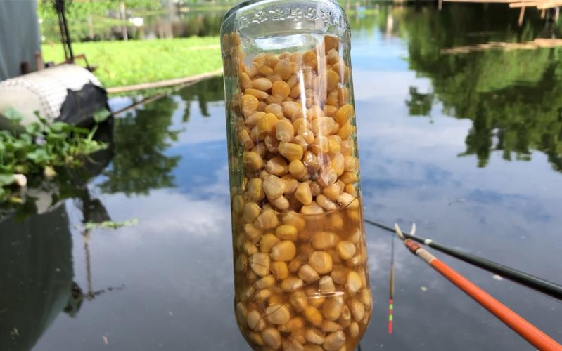 曲酒誘魚原理_酒米制作方法_酒泡玉米粒釣魚配方?玉米應該怎樣泡?