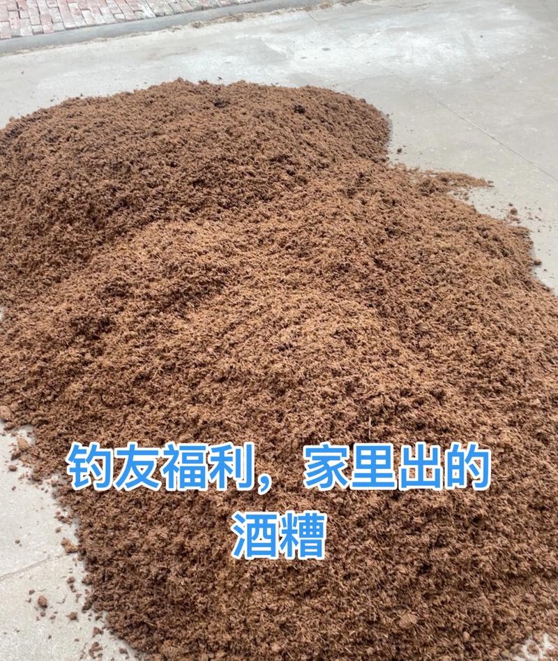 酒糟釣魚使用方法_窩餌選擇_打窩技巧