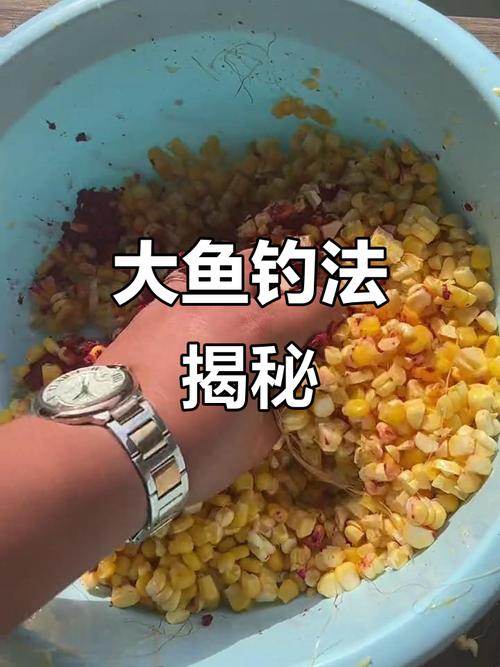 窩餌選擇_打窩技巧_酒糟釣魚使用方法