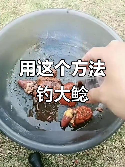 釣鯰魚最佳釣位選擇_野河釣鯰魚技巧_釣鯰魚用什么餌最好