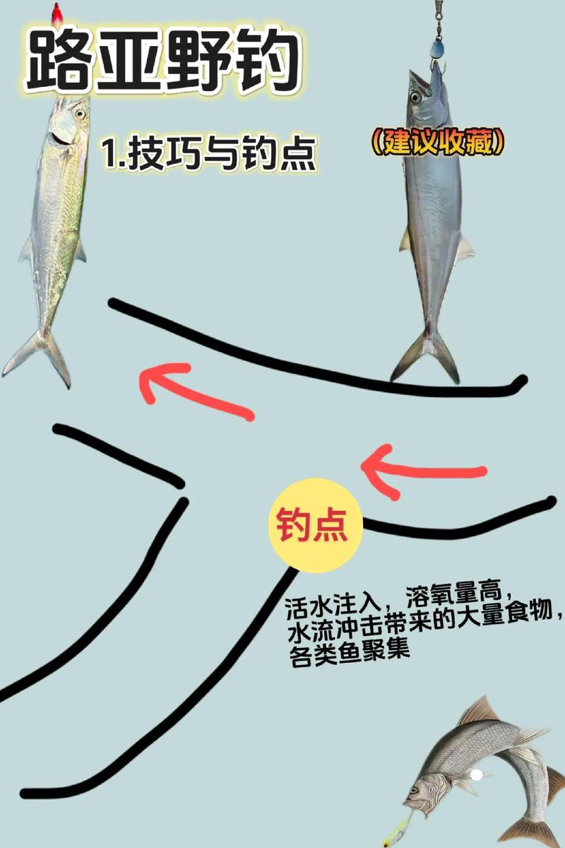 淺談冬天釣魚應如何選擇釣點_冬季野釣避坑位_流水區冬季魚情分析