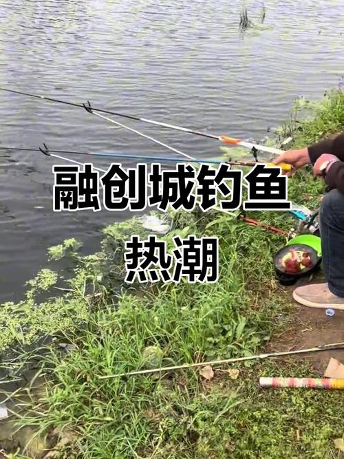 鄭州釣魚群號_怎么加釣魚群_鄭州的釣魚群可以加（拉我一下）