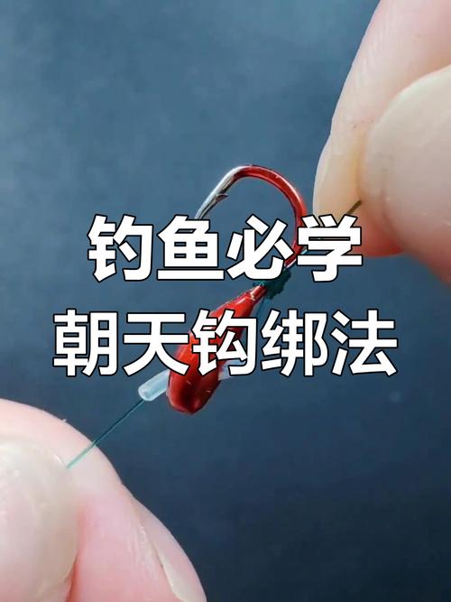 朝天鉤綁法技巧_七星漂調漂方法_魚鉤的綁法圖解大全