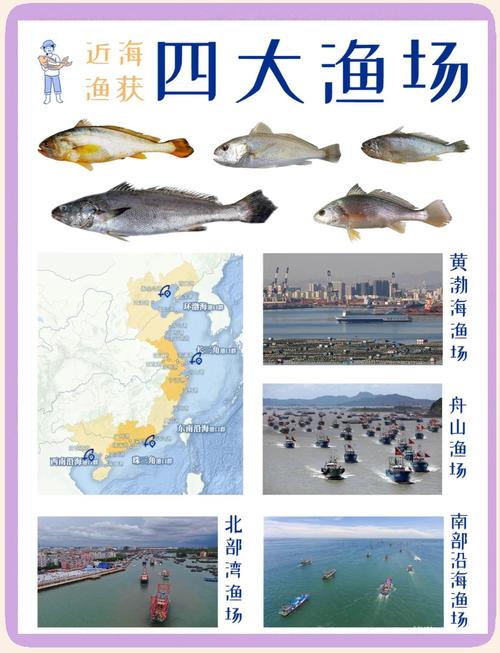 夏威夷海釣大賽組織經驗_中國海釣產業創新_中國海釣發展狀況及前景