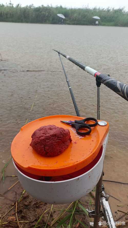 大雨后釣魚時機_夏季雨天釣魚技巧_下大雨可以釣魚嗎