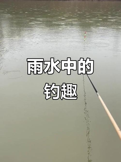 下大雨可以釣魚嗎_大雨后釣魚時機_夏季雨天釣魚技巧