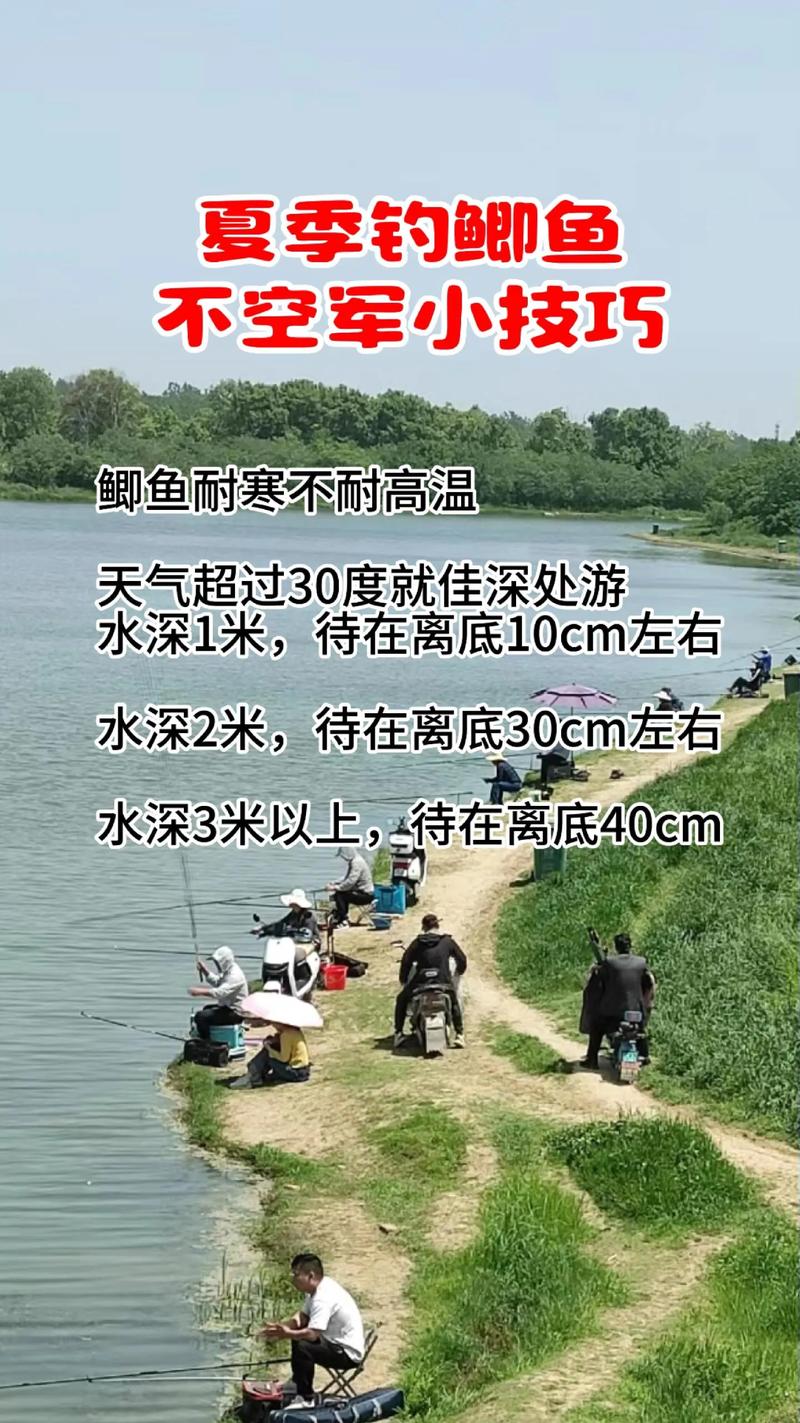 夏季釣點選擇_夏季釣魚技巧_夏季湖泊釣魚技巧
