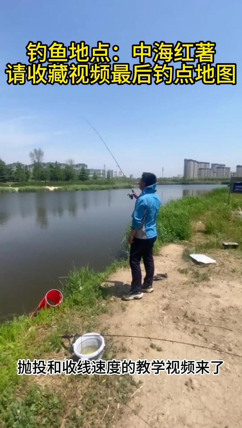 青島城陽區免費公園推薦_青島城陽區免費溜娃景點_青島城陽區免費釣場大全