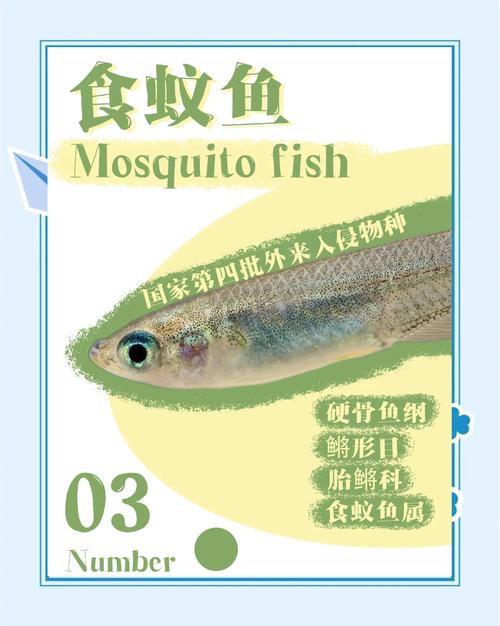 十大魚類寄生蟲介紹_魚舌寄生蟲_魚類寄生蟲種類