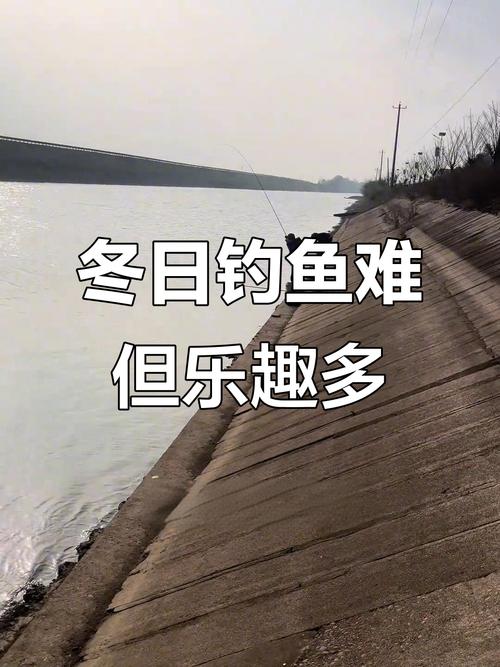 升鐘湖釣魚攻略_浮漂技巧分享_升鐘湖釣魚節