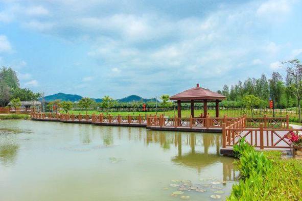 白蕉海鱸冬釣_珠海斗門垂釣大賽_珠海斗門區免費釣場大全