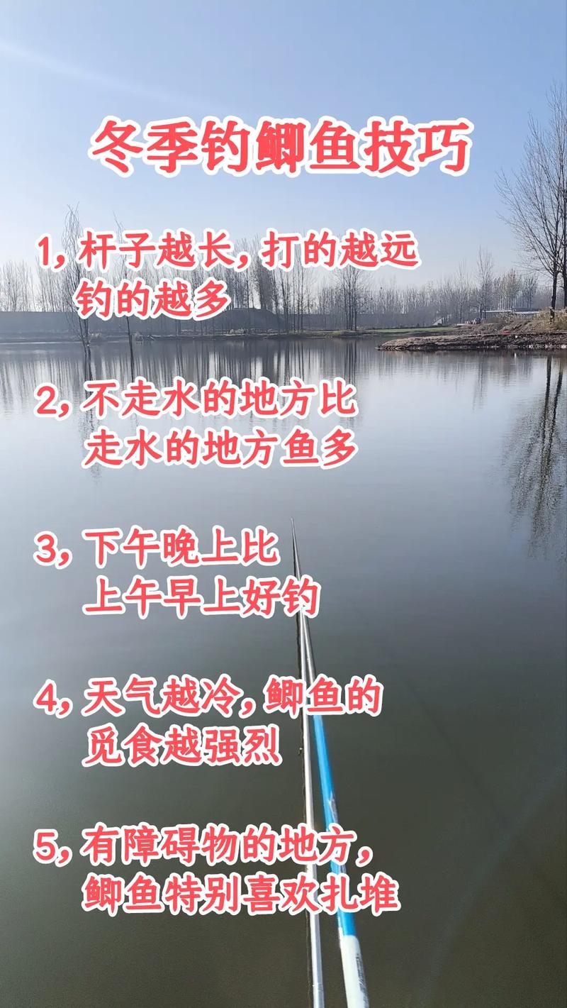 冬季野釣大鯽魚_釣鯽魚野溝相關圖片_匡湖小河溝釣魚攻略