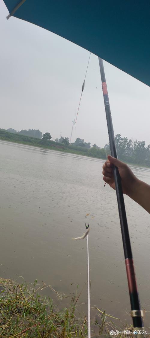 釣雨天技巧_秋季釣魚技巧_江河釣魚技巧