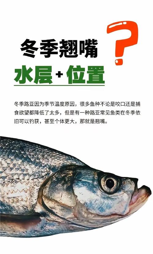 冬季釣魚技巧_氣溫零下9度怎么釣魚_釣深釣淺調整