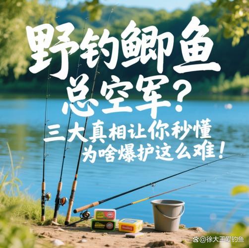 水庫野釣鯽魚技巧_長竿釣淺水鯽魚攻略_野釣鯽魚長竿釣淺水技巧