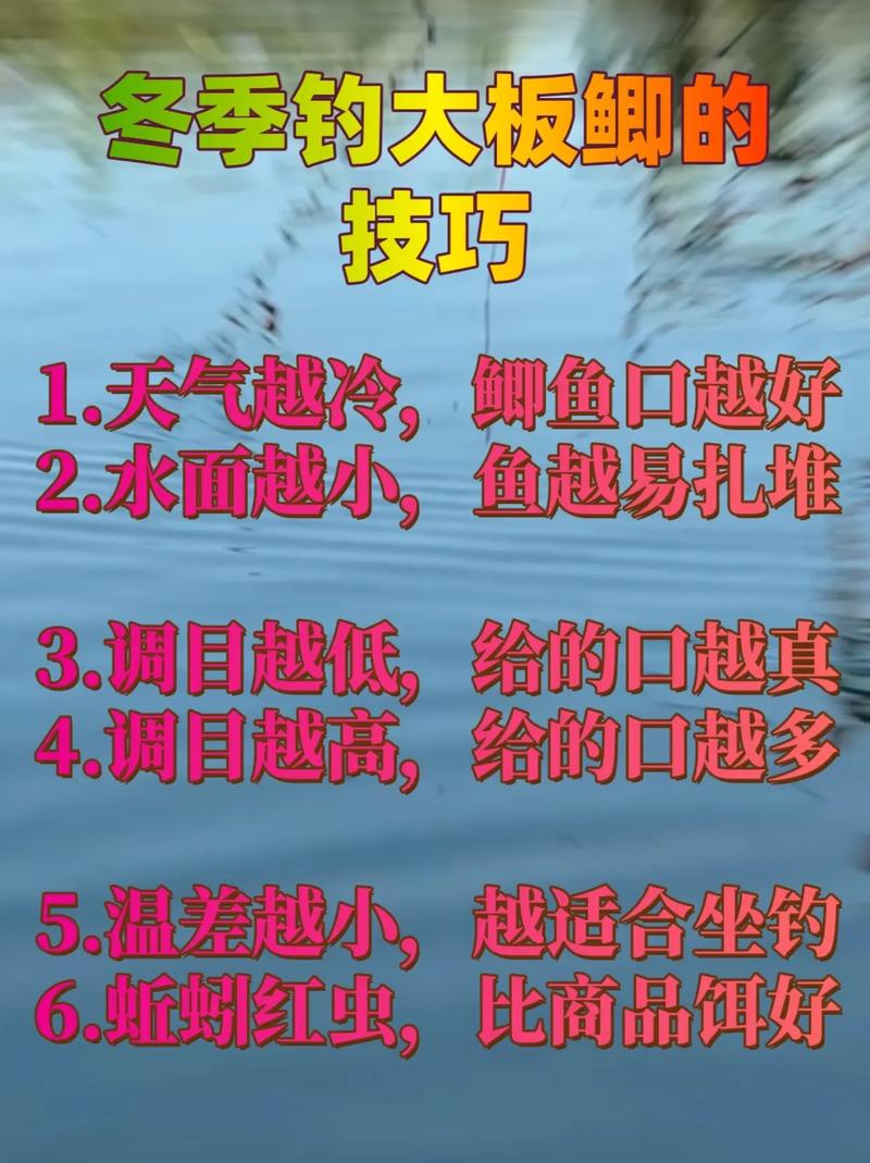 冬釣鯽魚技巧_冬天拉餌釣魚技巧_冬季釣魚經驗總結