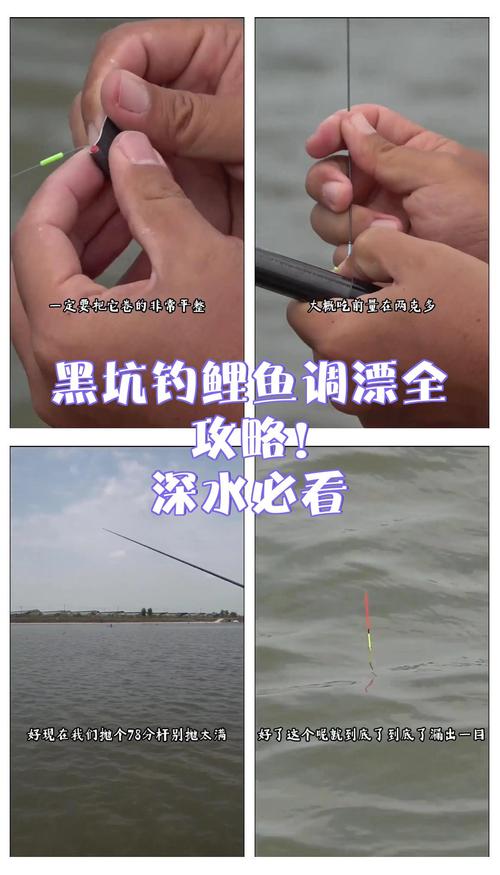 釣4斤以上黑坑大鯉魚攻略_請問黑坑釣鯉魚怎么調漂好_黑坑大鯉魚釣位選擇技巧