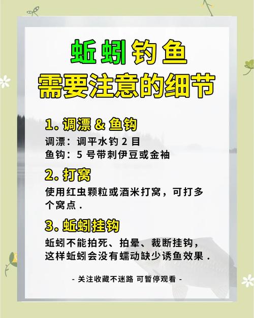 釣魚技巧視頻用蚯蚓_季節性蚯蚓使用方法_釣餌選擇技巧