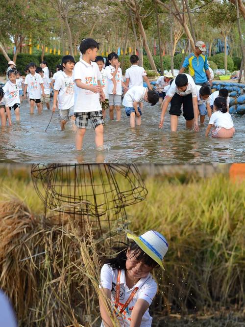 漁夫農莊電話_農夫漁港餐館怎么樣_漁夫農莊
