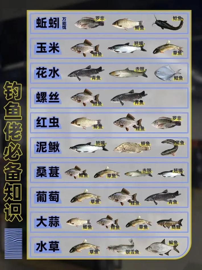 水庫釣鯉魚最佳時間_資深釣魚人教你庫釣鯉魚用什么餌必看_水庫釣鯉魚技巧