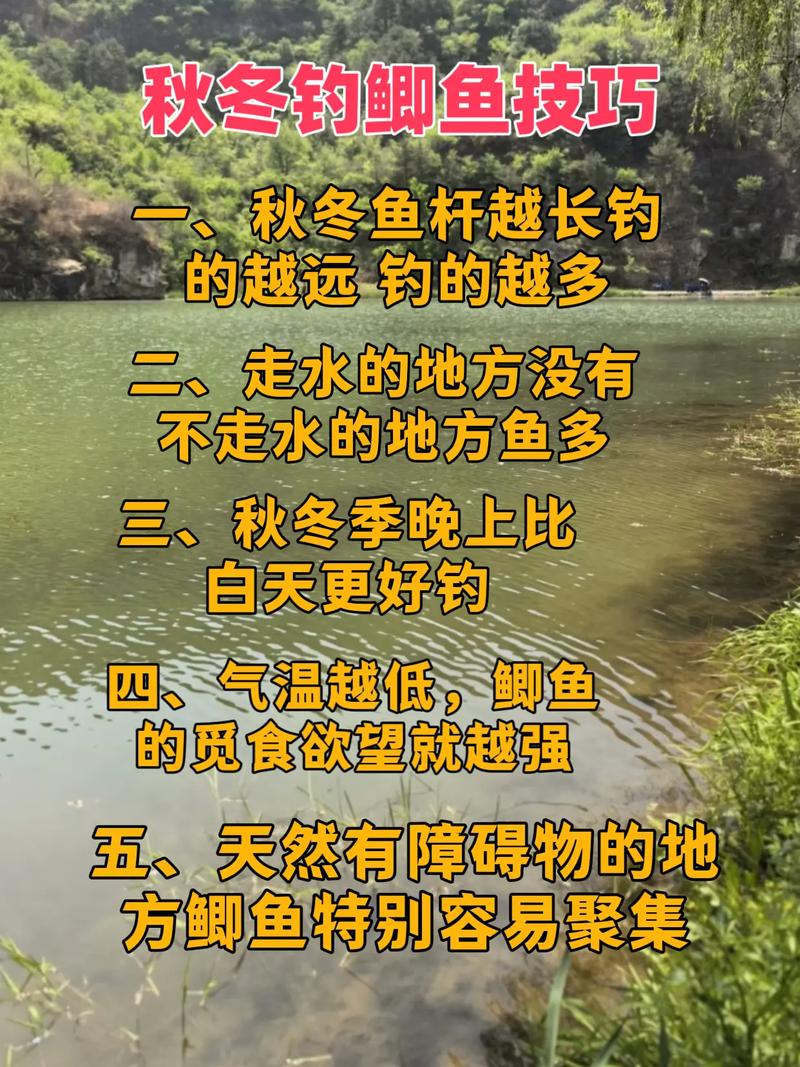 釣鯽魚技巧總結選擇釣點_仲秋時節鯽魚覓食習性_秋季釣魚的技巧必看