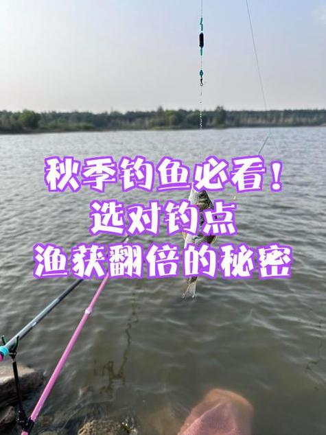 秋季釣魚重要的三個階段必看_秋季釣魚攻略_秋季釣魚技巧
