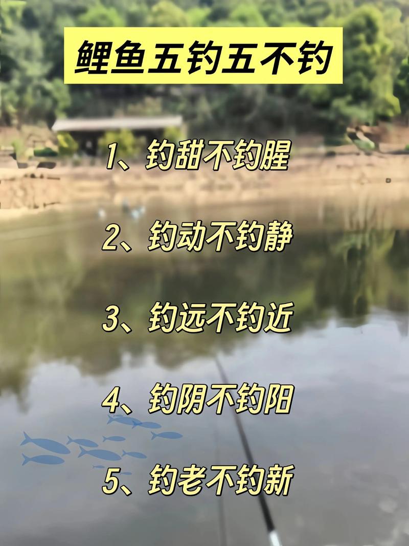 秋季是釣鯉魚的好季節要掌握技巧必看_秋季釣鯉魚技巧_渾水下鉤釣鯉魚