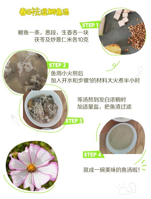 家常鯽魚_春季鯽魚養生_鯽魚食療好處