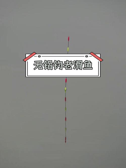 青魚秋季食性變化_秋季釣青魚技巧_秋季水庫釣魚的技巧及青魚的釣法