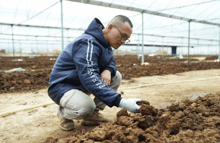 蚯蚓養殖基地建設_家庭蚯蚓養殖技術_殘疾人蚯蚓養殖技術