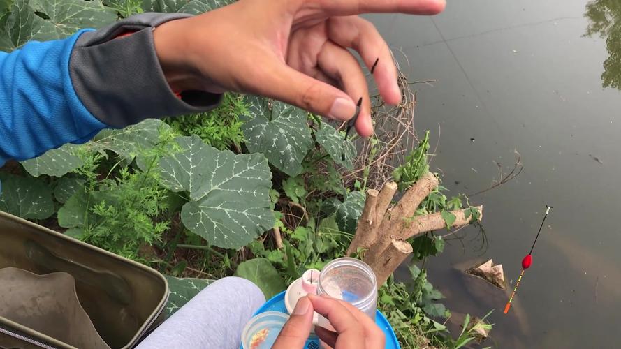 太空豆怎么穿圖解_太空豆鉛墜用法_太空豆浮漂調法