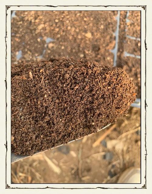 蚯蚓養殖技術_牛糞養蚯蚓_家庭蚯蚓養殖技術